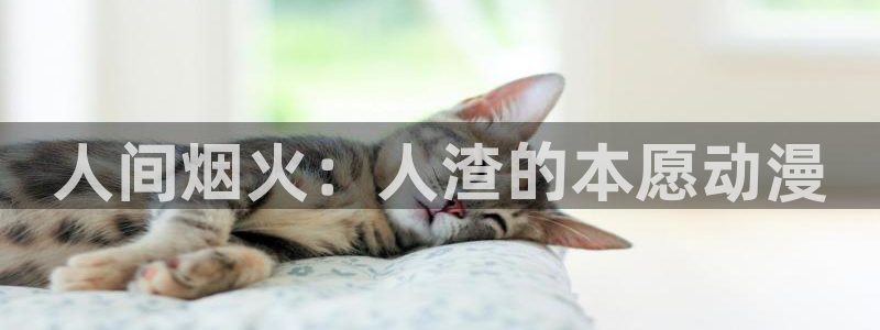 91动漫全集：人间烟火：人渣的本愿动漫