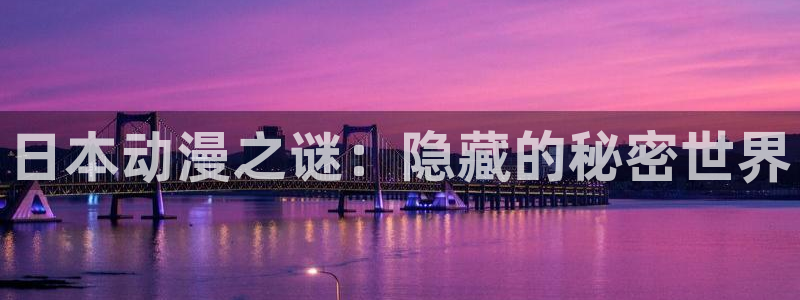火影91动漫：日本动漫之谜：隐藏的秘密世界