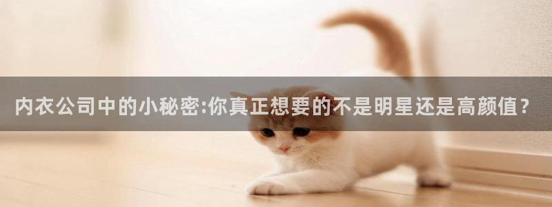 91动漫软件：内衣公司中的小秘密:你真正想要的不是明星还是高颜值？