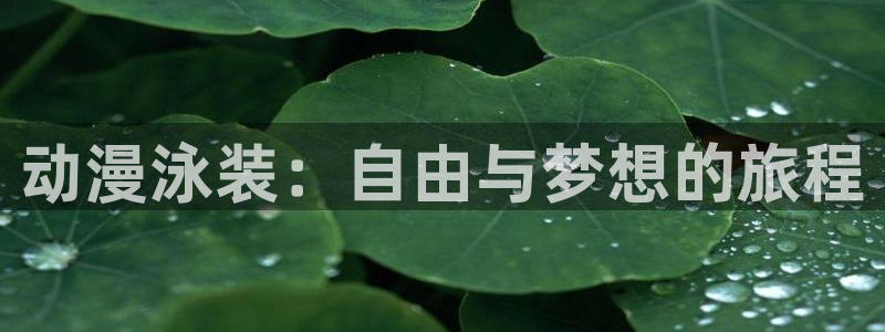 91动漫日漫：动漫泳装：自由与梦想的旅程
